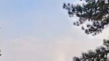 Göynük'te Orman Yangını Çıktı