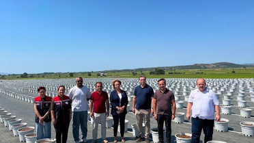 İpsala'da Yaban Mersini Tesisine İnceleme