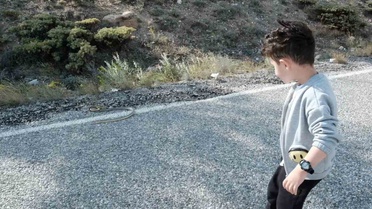 Erzincan'da Yılan Görüntülendi