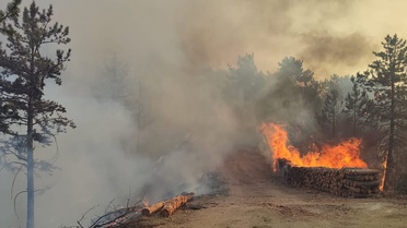 Göynük'te Orman Yangını Kontrol Altına Alındı