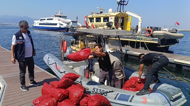 İzmir'de Yasa Dışı Kara Midye Avcılığına Ceza