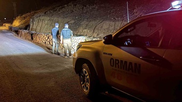 Ormanlar İçin Sürekli Denetim