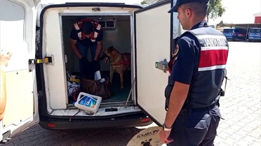 Avanos'ta 1.5 kg Uyuşturucu Ele Geçirildi