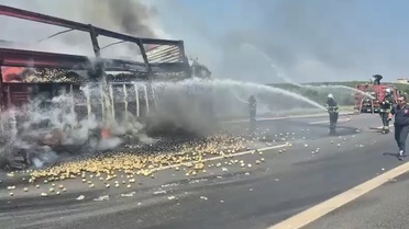 Adana'da TIR Şoförü Kaza Sonucu Hayatını Kaybetti
