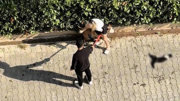 Pitbull'un Kediyi Parçaladığı Olayda Sahibi Ceza Aldı