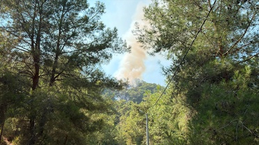 Alanya'da Orman Yangını