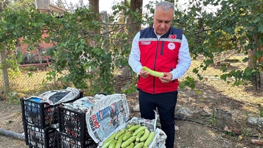 Hatay'da Tarımsal Üretim Ziyareti