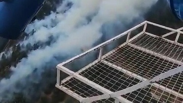 Aydın'da Orman Yangını