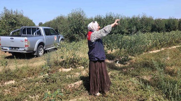 Babaeski'de Tarım Arazileri Kontrol Ediliyor