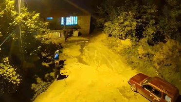 Hopa'da Ayı Sesi Anne-Oğul'u Korkuttu