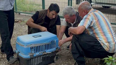 Yaralı Leyleğe Vatandaş Sahip Çıktı