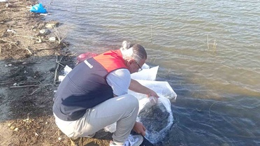 Buldan'da 80 Bin Yavru Balık Salımı Yapıldı