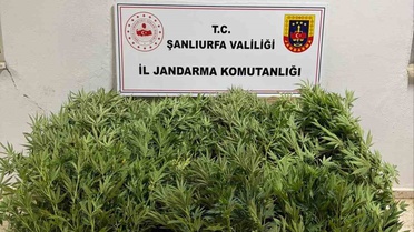 Şanlıurfa'da Uyuşturucu Operasyonu