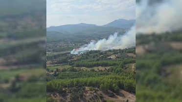 Muğla'da Orman Yangını
