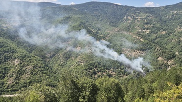 Sinop'ta Orman Yangını Kontrol Altına Alındı