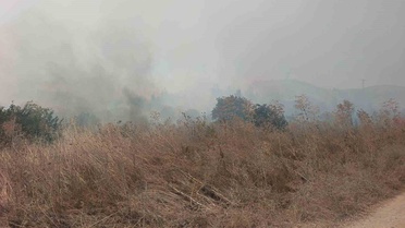 Bilecik'te Orman Yangını Kontrol Altına Alındı