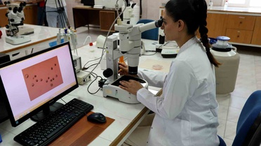 Türkiye'de Embriyo Üretimi ile Hayvancılıkta Yenilik