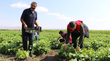 Ozanlar Köyü'nde Yeni Tarım Modeli