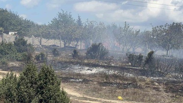 Arnavutköy'de Yangın: Hobi Bahçeleri Zarar Gördü