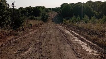 Edirne'de Orman Yangınlarına Karşı Mücadele