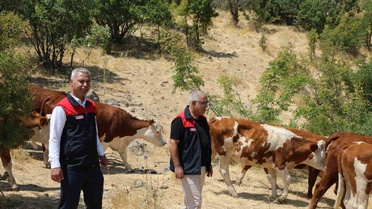 Elazığ'da Hayvancılığa Destek Ziyareti