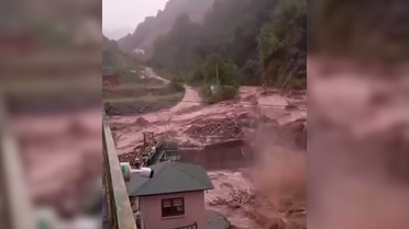 Giresun'da Sele Neden Olan Şiddetli Yağış