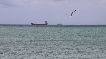 Tekirdağ'da Poyraz Sorun Yaratıyor