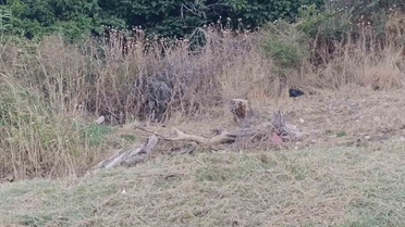 Tekirdağ'da Kuvvetli Poyraz Olumsuz Etkiledi