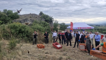 Doğaya 1500 Sülün ve Keklik Salındı