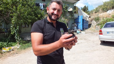Perişan: Ailenin Neşe Kaynağı Saksağan