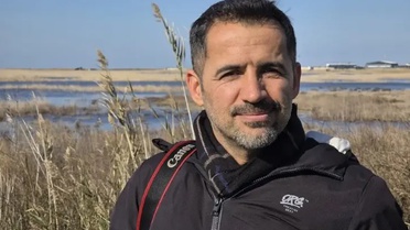 Kaplumbağa Yavruları için Yapay Işık Uyarısı