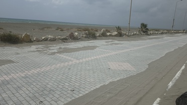 Samandağ'da Yavru Kaplumbağalar Araçların Altında Kaldı