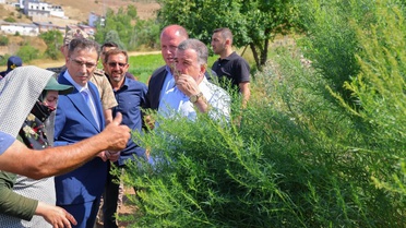 Vali Eldivan Yedigöze'de Tarhun Hasadına Katıldı