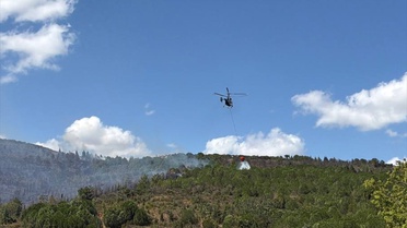 Gebze'de Orman Yangını
