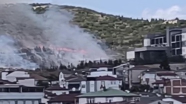Kocaeli'de Orman Yangını