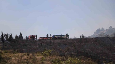 Gebze'de Orman Yangını Kontrol Altına Alındı