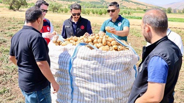 Şuhut'ta Patates Hasadı Değerlendirildi
