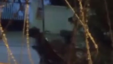 Ata dakikalarca şiddet uyguladı, dehşete düşüren anlar kameraya yansıdı