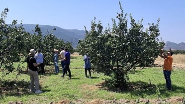Osmaneli'de Tarım Arazileri Kontrol Edildi