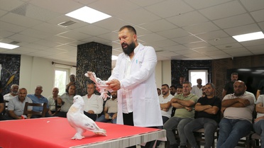 Güvercin deyip geçmeyin: Fiyatını duyan hayret ediyor! Kırmızı halıda boy gösterdiler