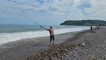 Karadeniz'de balık bolluğu: Oltasını kapan deniz kenarına koştu, kovalar doldu