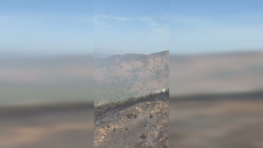 Marmaris'teki Orman Yangını Kontrol Altına Alındı