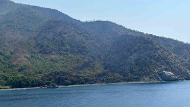 Marmaris'teki Orman Yangını Kontrol Altına Alındı