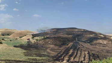 Siirt'te Anız Yangını Meyve Bahçesine Sıçradı