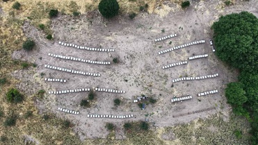Tunceli'de Bal Sağım Sezonu Başladı