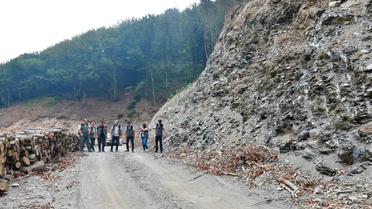 Orman Faaliyetleri İncelemesi