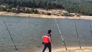 Su Ürünleri Denetimi