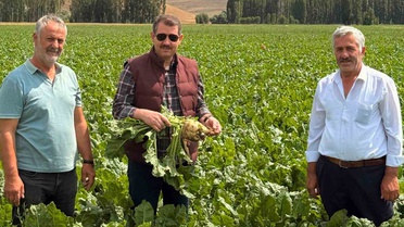 Salih Ayhan'dan Memleket Hasreti