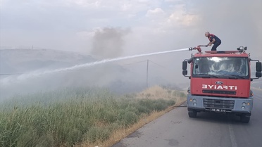 Siirt'te Anız Yangını Kontrol Altına Alındı