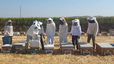 Kaymakam Özcan Bal Hasadına Katıldı